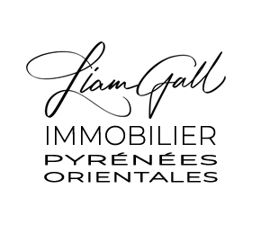 Liam GALL Immobilier Logo